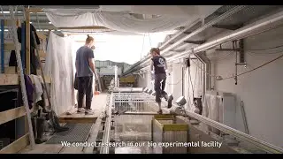 Live fish tests at VAW, ETH