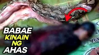 PANOORIN! BABAE KINAIN ng BUHAY ng HIGANTENG AHAS | SNAKE VIDEO COMPILATION