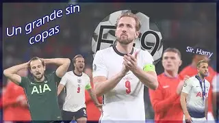 Harry Kane: Un gran 