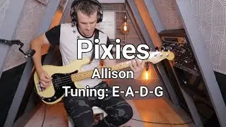 Pixies - Allison bass cover (with tab)