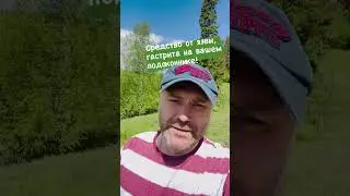 От гастрита и язвы, средство на вашем подоконнике!