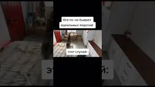 Такой жесткой подставы я ещё не видел 🥲 Интересно что с ними было потом 🤨