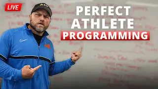 Foundations to Perfect Athlete Programming