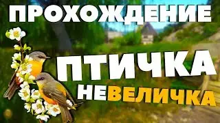 LITTLE BIRD - Kingdom Come: Deliverance [Walkthrough]