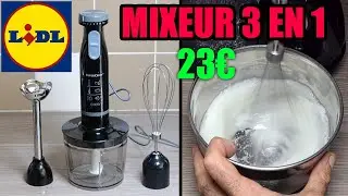 LIDL mixeur plongeant 3 en 1 SILVERCREST SSMS 600w E6 Hand Blender STABMIXER type Moulinex Quickchef