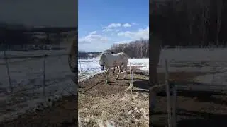 Видео-отзыв Москва .Серпухов номер1