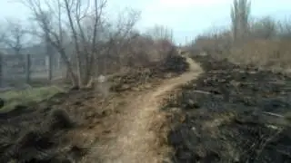 Куда ведет тропинка?