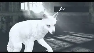 [The unforgiven|wcmv]