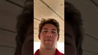 Hidden Fly Infestation