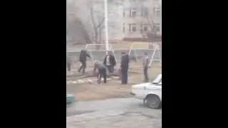 Валка деревьев во дворе Семенова 23