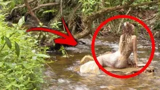10 Настоящих Русалок Снятых на Камеру