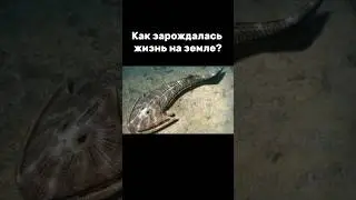 Зарождение жизни на земле🌏 