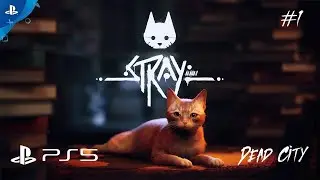 Stray Gameplay Walkthrough | PS5 | Intro | Inside the walls | Dead City (Full Game - Part 1)
