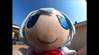 cirno.avi