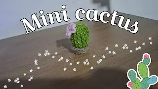 Mini cactus crochet (English) (Español) tutorial