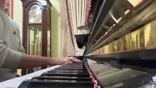 Mary Did You Know? - piano and vocals