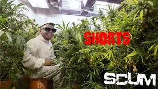 #shorts SCUM Не Забывай Кто Ты  #scum #shortslive