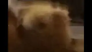 (YTPH) Las estupideces de Pablo