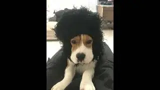 FEOFILOV - новый дом (слив слив слив)