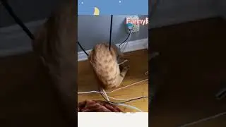 😅 😂