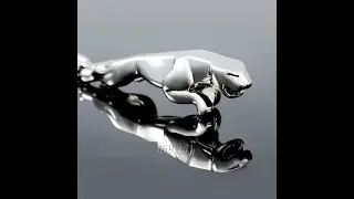 Jaguar Key Chain Gadgets