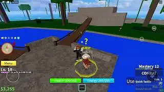My first time playing bloxfruit