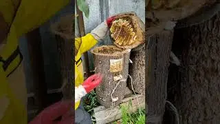 ЧЕСТНО, Я НЕ ЗНАЛ😨⬇️⬇️⬇️ 