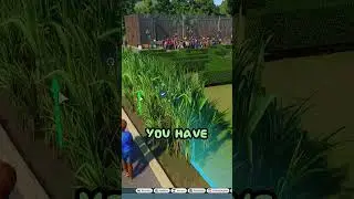 🦢 FREE-ROAMING Animals in Planet Zoo! | Planet Zoo Tutorial 