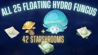 Floating Hydro Fungus Farming Route + 42 Starshrooms - Genshin Impact Guide