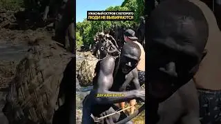 Остров с которого не возвращаются люди