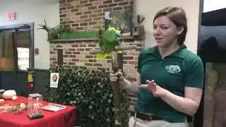 Zoo School Live! - 3.31.20