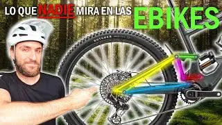📣 The SUSPENSION SYSTEM of your BIKE is CRUCIAL ✨