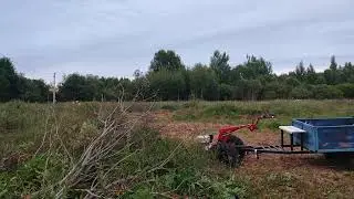 Видеотелеграмма Валерьичу.