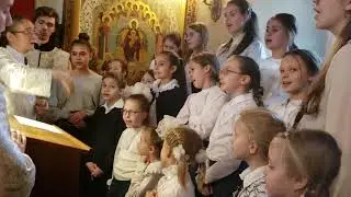 В ночном саду
