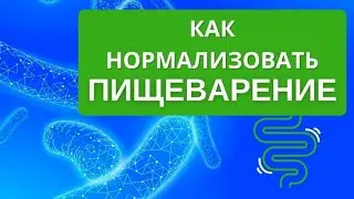 Digestion. How to normalize the gastrointestinal tract. A logical, understandable, natural approach.