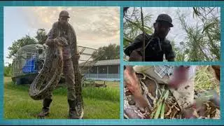 Snake hunter fight with 17 foot python | Monster Snake
