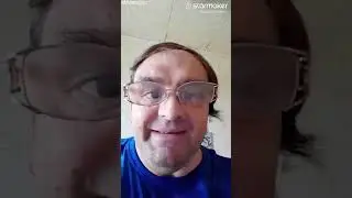 Чучело мяучело