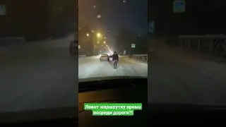 Ловит маршрутку прямо посреди дороги?!