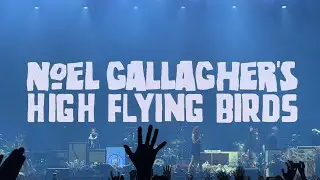 Noel Gallagher 노엘 갤러거 하이 플라잉 버즈 / 하이라이트 240726 @일산 킨텍스