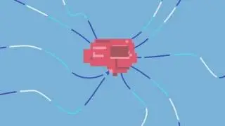 為什麼我們會忘記事情？Why Do We Forget Things[CC 中文字幕]