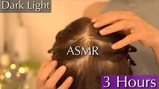 Extremely Tingly Triggers 3H ASMR Hair Play | No Talking