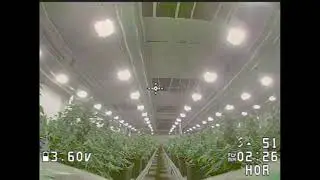 IGOW4 Week 11