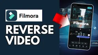 How to Play Video in Reverse using Filmora 2024?
