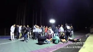 HARLEM SHAKE