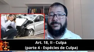 Criminal Law - Article 18, paragraph II, of the Criminal Code - Guilt (part 4) | TYPES OF GUILT A...