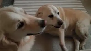 Всё тяжелее...
