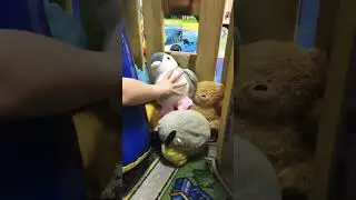 Когда играйте в Город