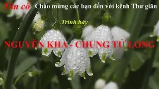 NGUYỄN KHA, CHUNG TỬ LONG - HƠI DÀI CAO VÚT | Tân Cổ Hơi Dài Miền Tây Trích Đoạn Cải Lương