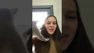 Лемур Джулиан оценивает волосы мамы 😹