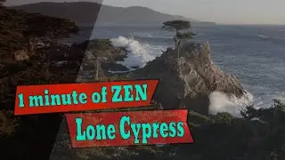 1 minute of the Lone Cypress on the 17 Mile Drive in Monterey. Enjoy the moment of zen!